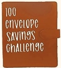 Brown Savings Book